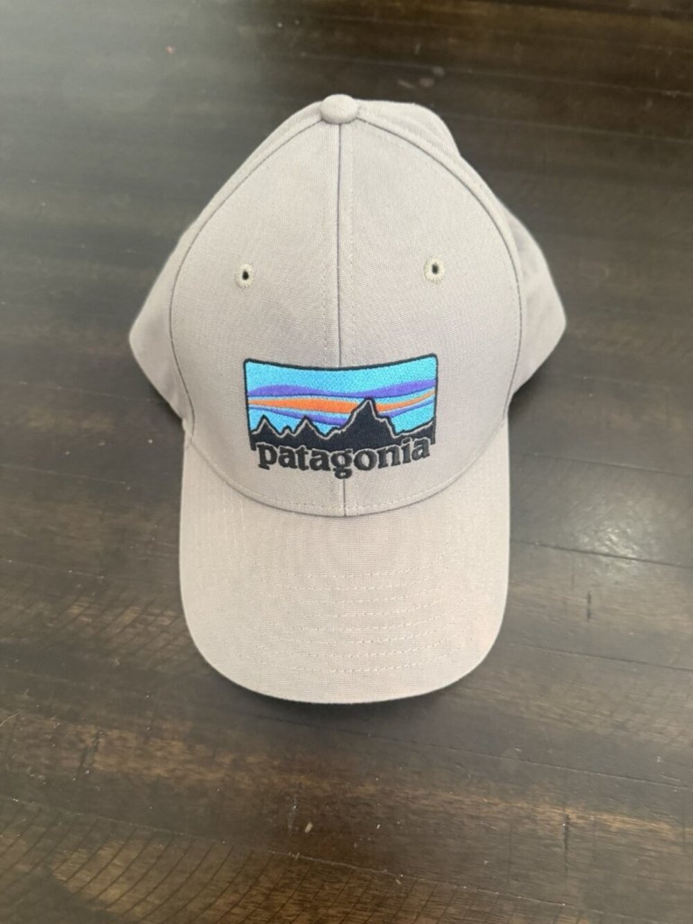 Patagonia Hat Men's Adjustable Gray Cotton Outdoor Embroidered Logo